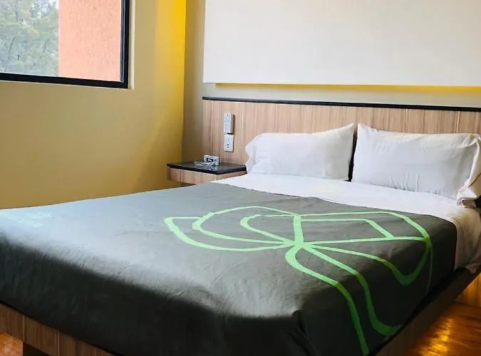 Hotel Lirio - Adult Only