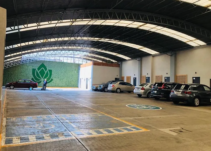 Hotel Lirio - Adult Only Mexiko-Stadt